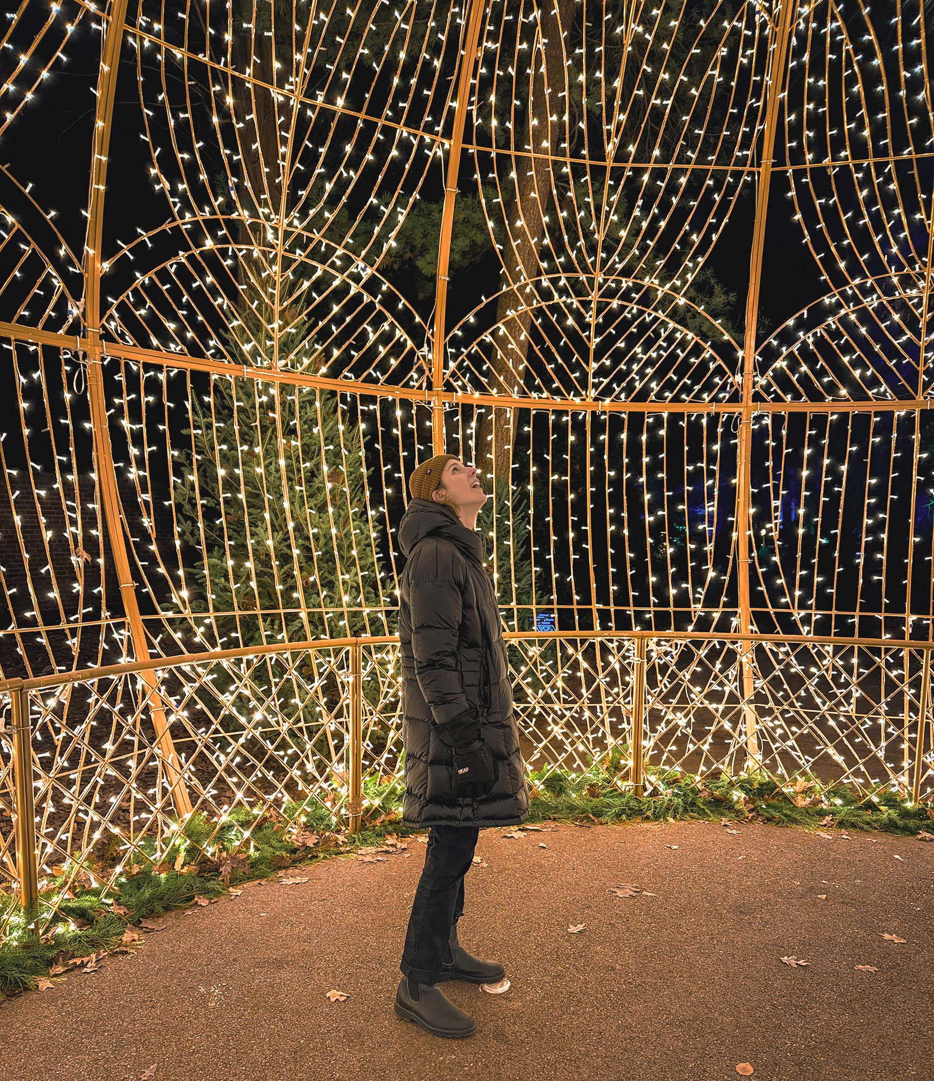 Gail Alderson beneath a canopy of lights
